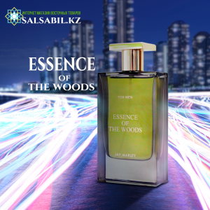 Мужской парфюм Essence of the Woods Fragrance World 100 мл